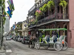 开云入口 -新奥尔良鹈鹕训练开放日，今晚外线爆发引欢呼，荷甲在即，数据趋势出现新变化(荷甲2024至2025积分榜)